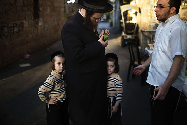 Sukkot preparations: A Jewish man inspects an etrog