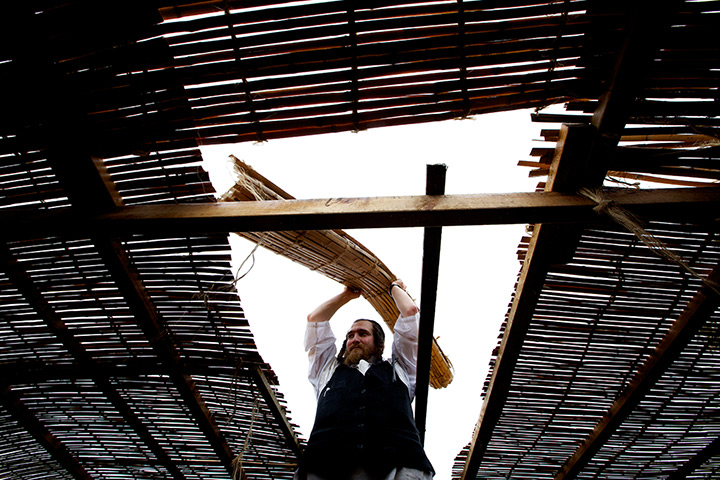 Sukkot preparations: Menachem Stolzberg constructis a sukkah at Satmar Yetev Lev Shul in Broughton