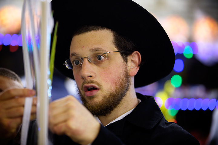 Sukkot preparations: A man checking for blemishes on lulav, fronds from a palm tree,  as Jewish 