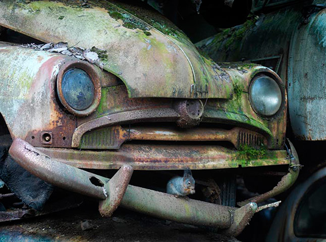 GDT: Fritz Pölking Prize 2013