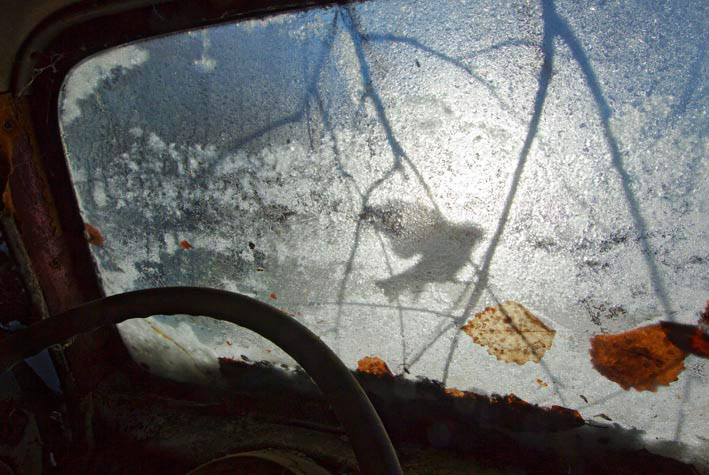 GDT: Fritz Pölking Prize 2013