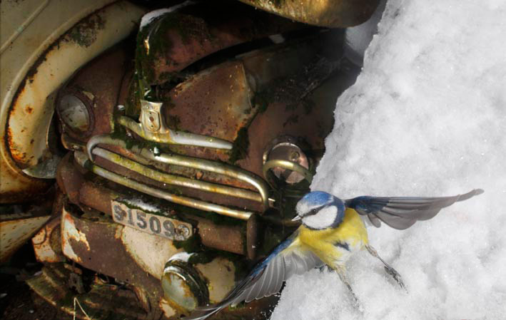 GDT: Fritz Pölking Prize 2013