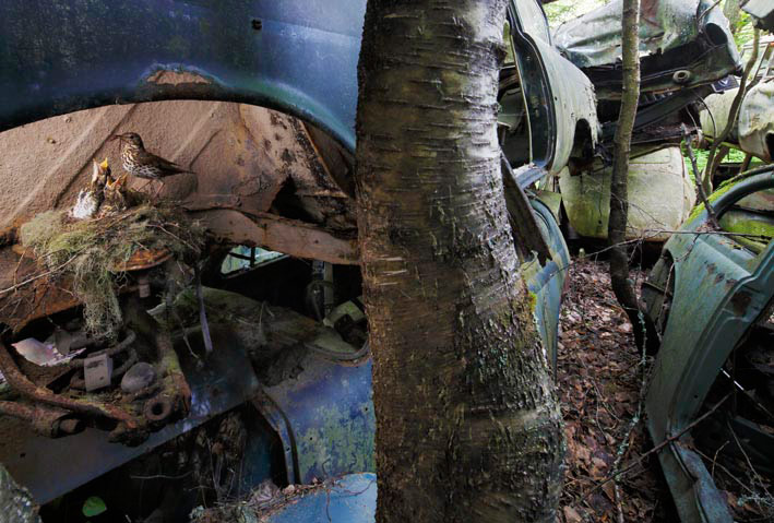 GDT: Fritz Pölking Prize 2013