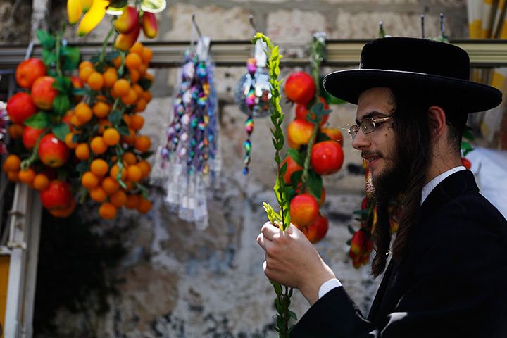 Sukkot preparations: A man examines a myrtle branch for blemishes at a market in Jerusalem 