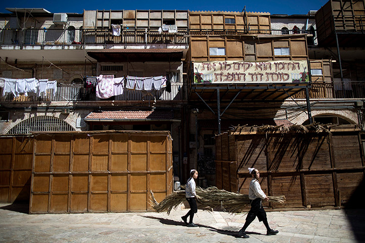 Sukkot preparations: Jewish children carry palms to be used as a roof for their sukkah