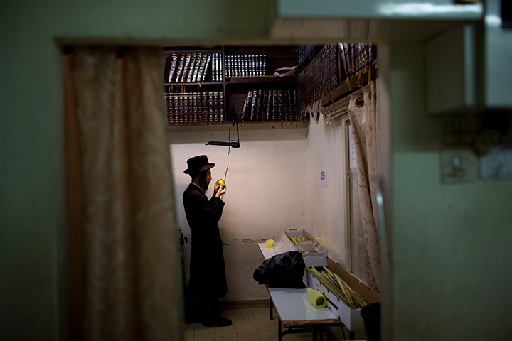 Sukkot preparations: An Ultra Orthodox Jewish man inspects an etrog in Bnei Brak 