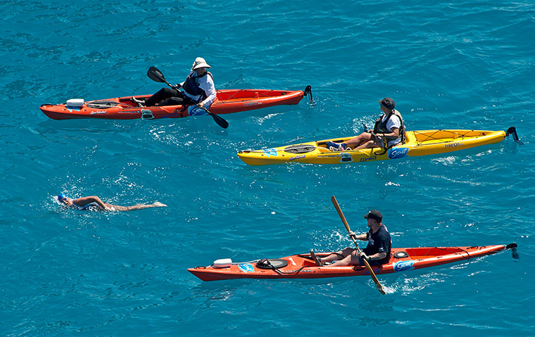 Diana Nyad update: Two miles to go