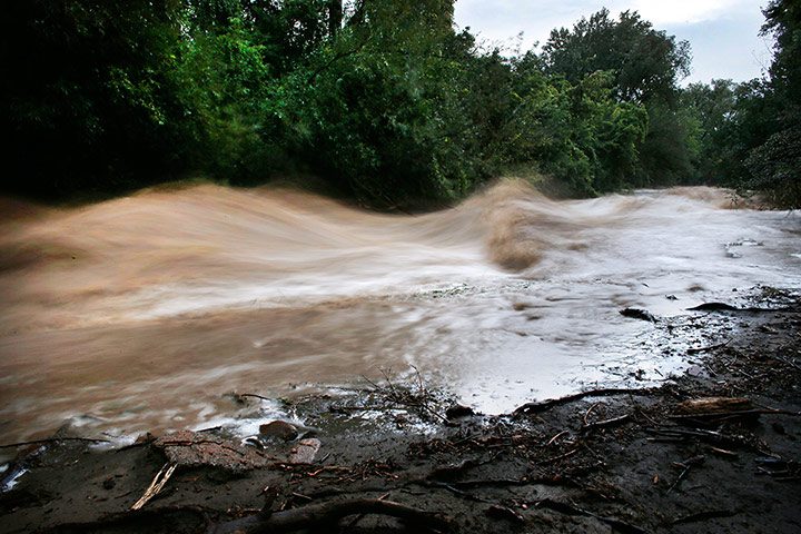 Week in Wildlife: record rain and flooding, at the base of Boulder Canyon