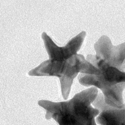 Nanotechnology: Postcard from nanoworld