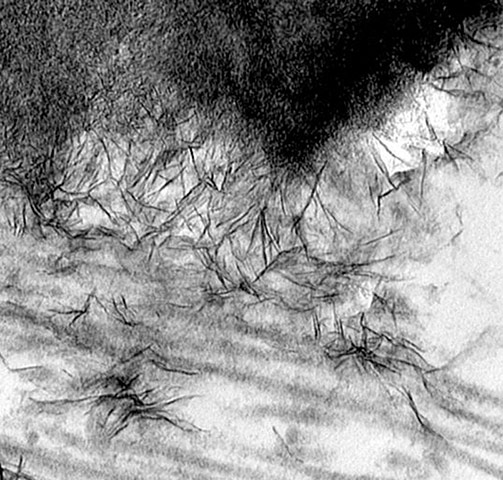 Nanotechnology: Postcard from nanoworld