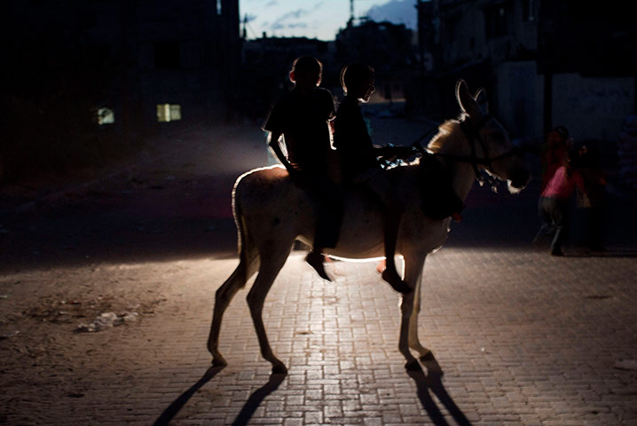 20 Years on from Oslo: Palestinian children ride a donkey in front of car headlights