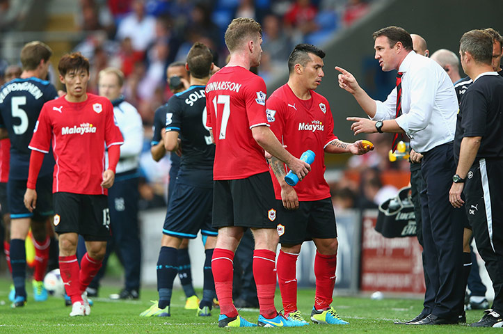 footy...: Cardiff City v Tottenham Hotspur - Premier League