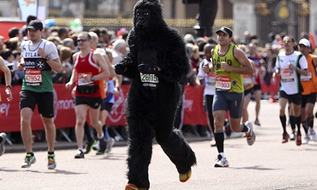 Gorilla runs the London Marathon/em>?