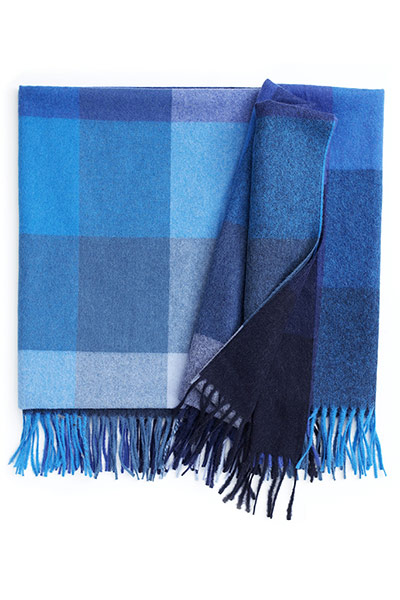 Homes - blue lines: blue check throw 