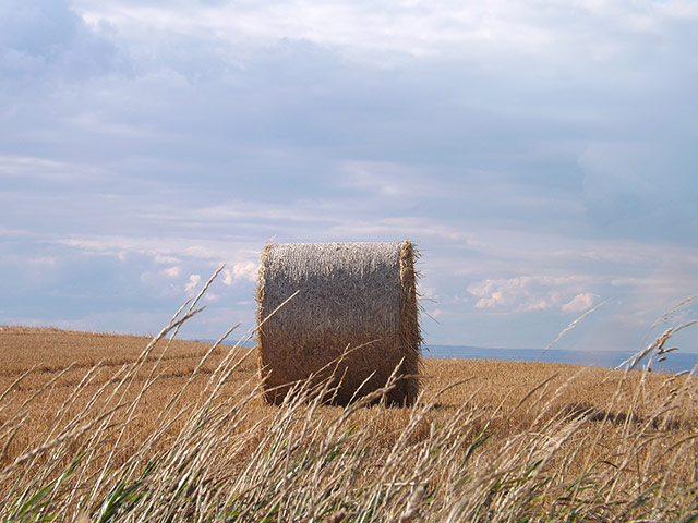 Your Pictures - crop: bale of hay in field