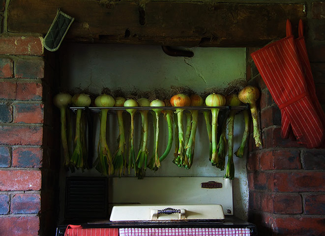 Your Pictures - crop: onions in kitchen