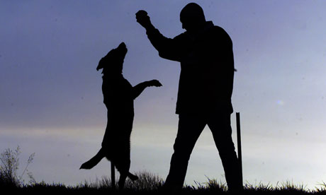 An owner playing with his dog