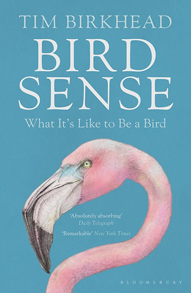 Winton Prize: Bird Sense by Tim Birkhead, published by Bloomsbury