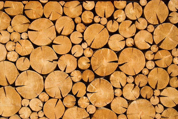 Your Pictures - Maze: cross-section of logs