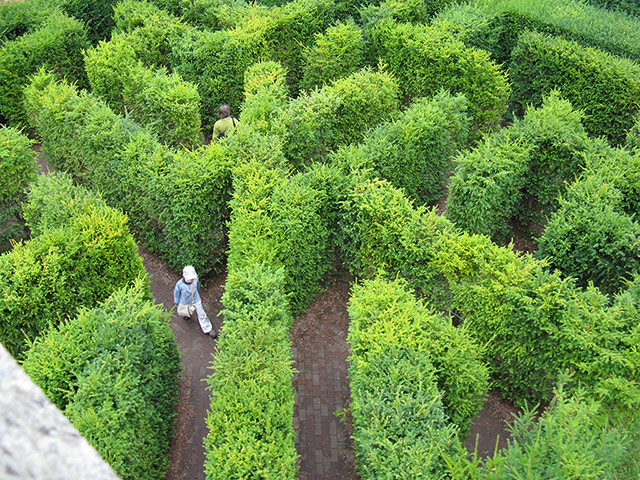 Your Pictures - Maze: man in maze