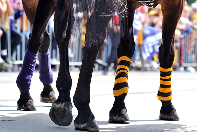 AFL Parade: Police horses wearing Hawthorn and Fremantle socks walk down St. Kilda Road