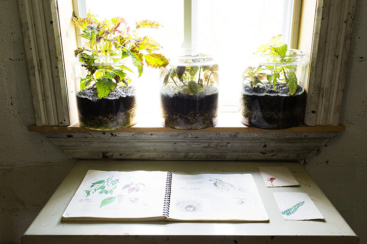 The Selby: Drew Parks Terrariums