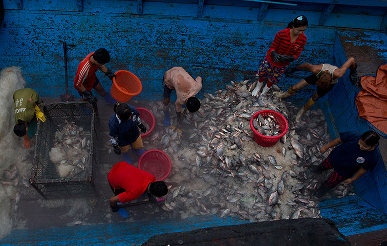 Weekend in pictures: Rangoon, Burma: Workers sort frozen fish in a fishing boat at Kyi Myin Dai