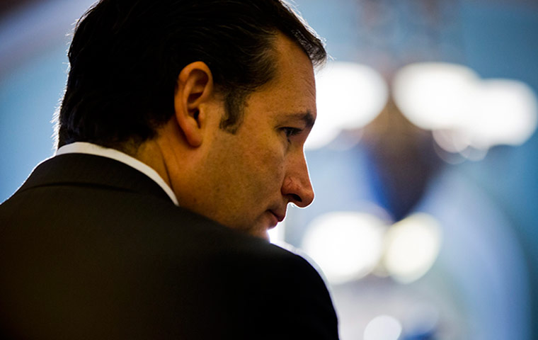 us shutdown: Cruz Votes on Senate Budget Bill