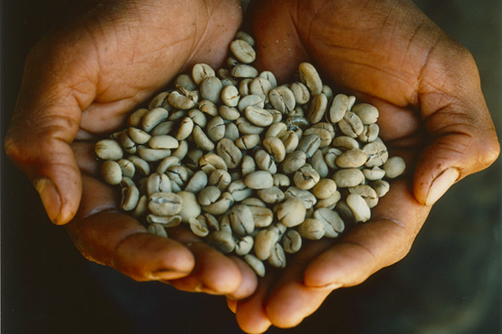 Coffee gallery: coffee beans