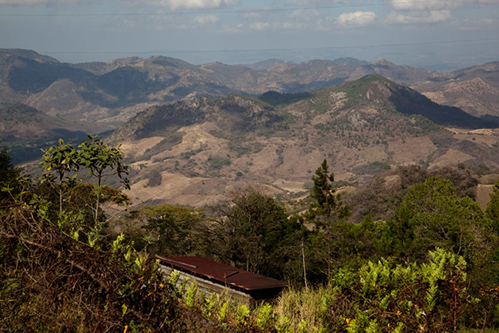 Coffee gallery: coffee mountains