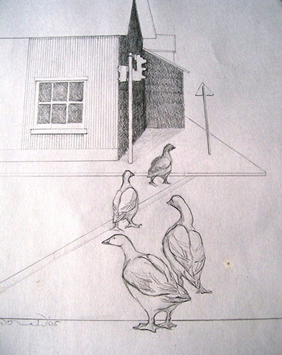 Share your art everyday: Urban Geese