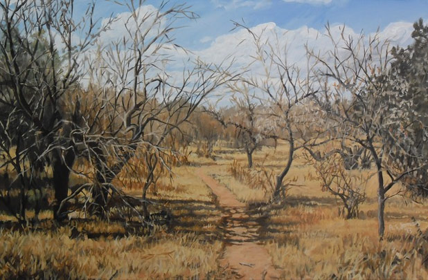 Share your art everyday: Walk in the Bush