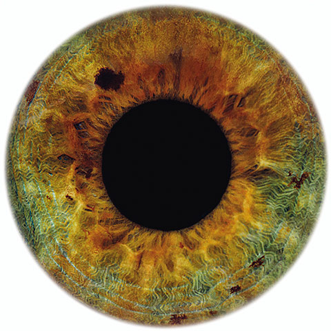 Kate Moss At Christie's: Rankin