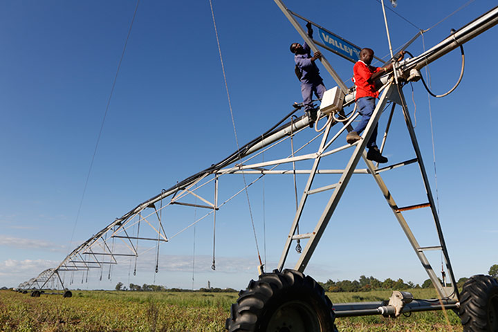 SAB Miller Zambia gallery: irrigation