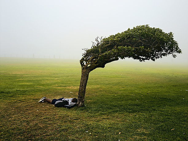 Pieter Hugo - Kin: Green Point Common, Cape Town, 2013