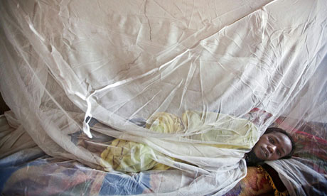 MDG : Malaria net