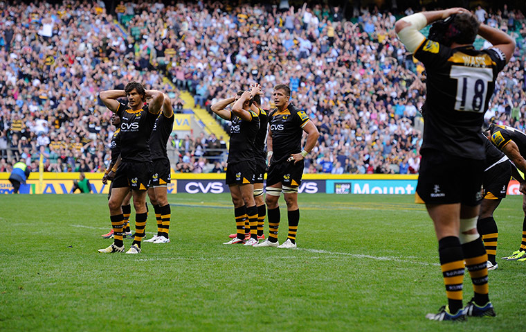 Rugby at Twickenham: London Wasps dejection