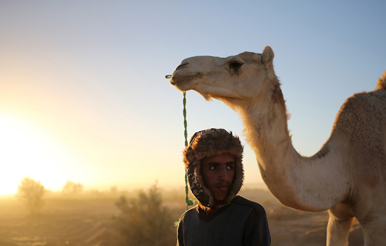 Photo highlights: A boy stands next to a camel during the Ghat Festival in the Libyan desert.