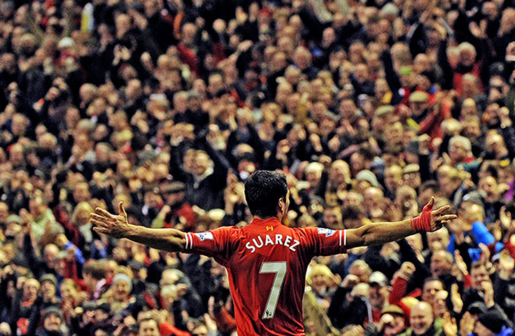 Premier New Years Day : King of the kop Liverpool's striker Luis Suarez