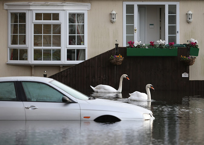 Week in wildlife: Severe Flood Warnings In Place For The UK