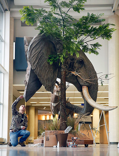 Week in wildlife: Dallas Safari Club Convention and Sporting Expo