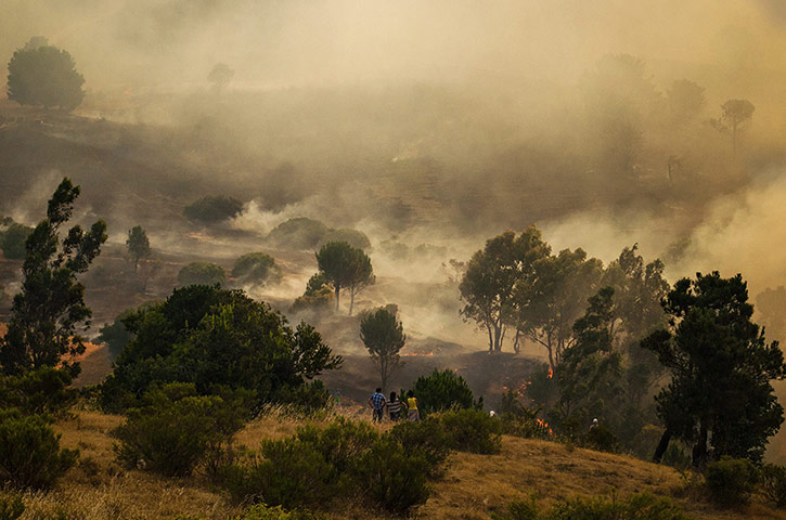 20 Photos: Several people look on during a fire in Angol, Chile
