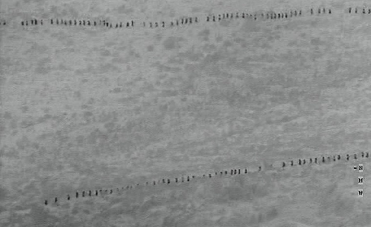 Melilla: two groups of would-be immigrants between Morocco and the Spanish territory