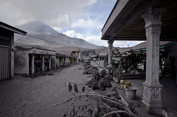 20 Photos: Houses are covered with ash from the eruptions of Mount Sinabung
