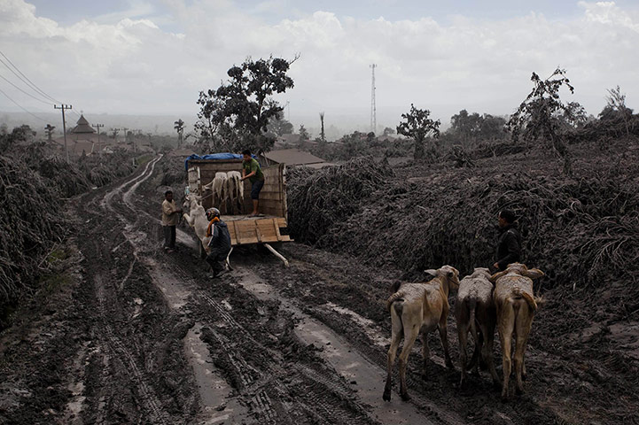 From the agencies: Villages Destroyed as Mount Sinabung Erupts