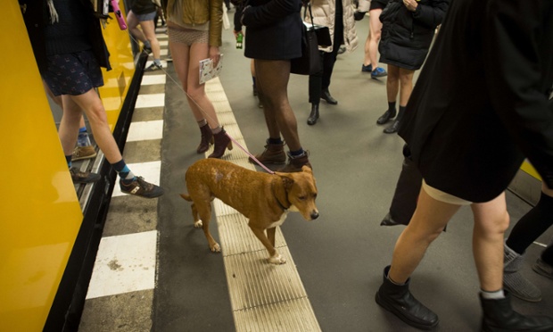 Dogs eye view: A dog exiting a train among people on the platform at the Potsdamer Platz station in Berlin.