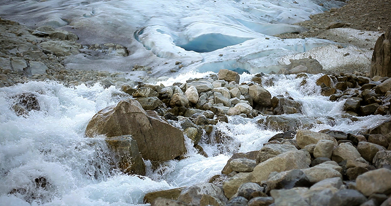 Biennale of Sydney: Biennale Short Study