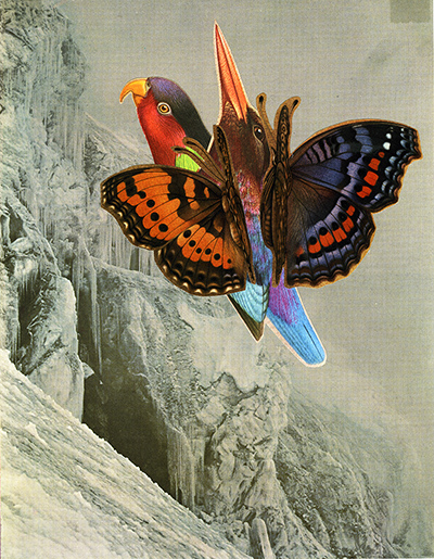 Biennale of Sydney: Biennale Souls