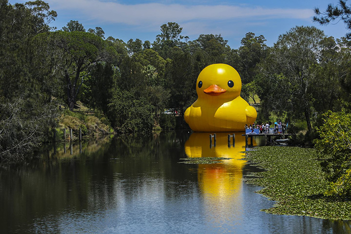 Sydney Festival 2014: Sydney Festival 2014