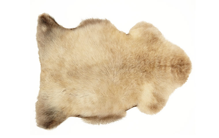 Homes - warm front: cream coloured sheepskin rug